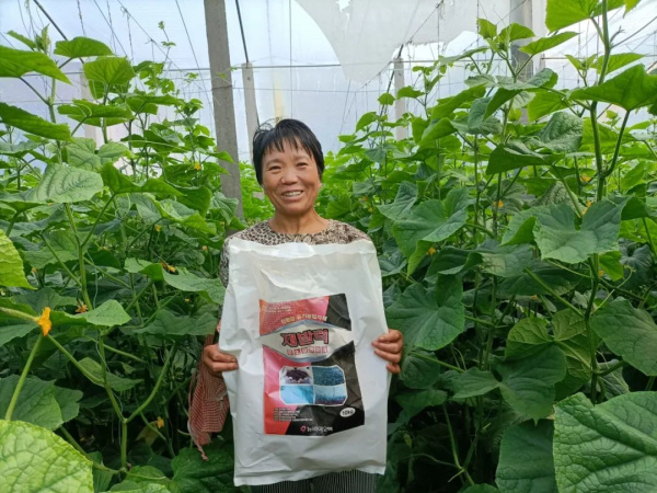 種植前一個(gè)措施，死棵、病毒、早衰都不怕！